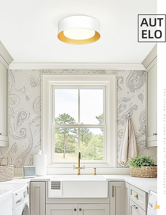 AUTELO Close to Ceiling Light Fixture, 14" Frosted Glass Shade Flush Mount Ceiling Light in White Finish E26 Socket for Living Room Hallway Bedroom C3336XS WH