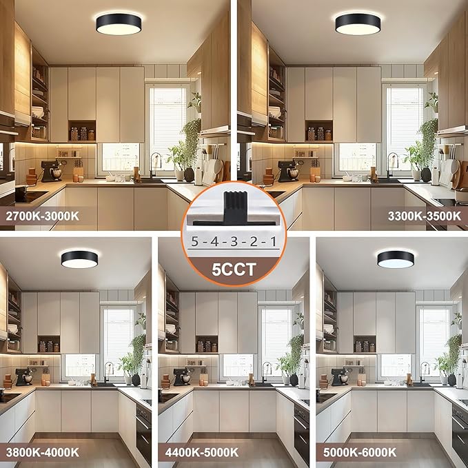 YURNYQ Dimmable Black LED Flush Mount Ceiling Lights, Modern 5CCT 2700K-6000K Close to Ceiling Light, Simple Round Kitchen Lighting Fixtures for Bedroom Hallway Entryway Laundry Room, 11.8 Inch