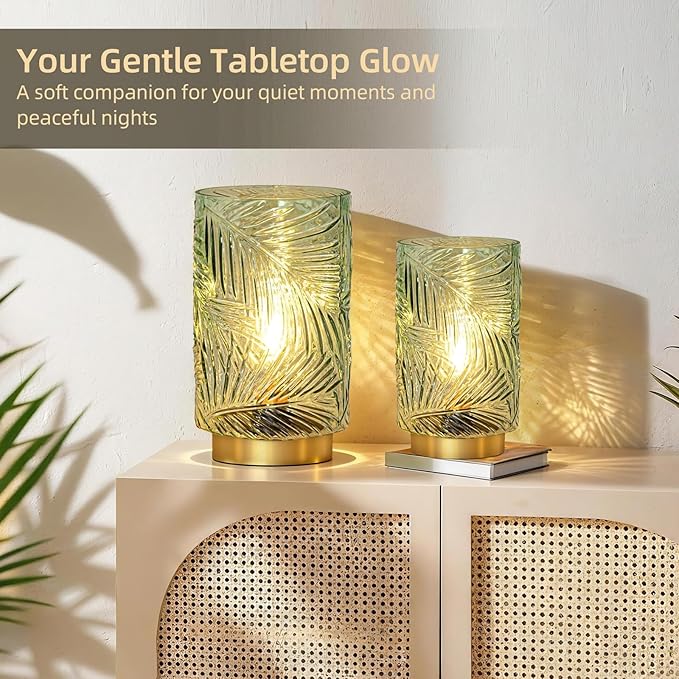 Battery Operated Table Lamp, Cordless Lamps for Home Decor, Battery Powered Nightlight with LED Bulb with Timer, Decorative Lights for Living Room Bedroom Tabletop Entryway Centerpiece Gift(Small LG)