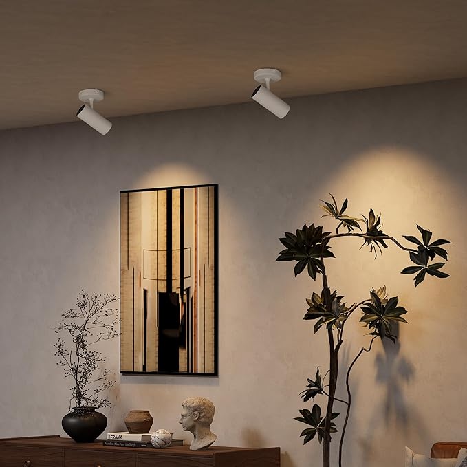 Aisilan LED Modern Directional Dimmable Spotlight Adjustable 90 Degrees Anti Glare Ceiling Spot Light for Indoor Foyer Living Room Warm White White 9W CREE COB CRI 97
