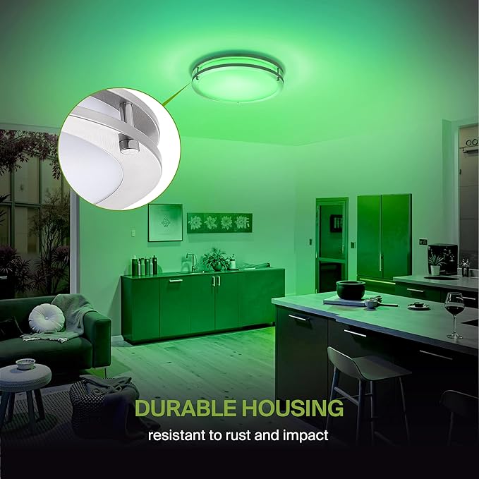 ASD LED 16" Round Flush Mount Lighting, Close to Ceiling Light Fixture | Smart, Multicolor, Dimmable, ETL Listed | 24W 1575LM RGB-2700-6500K 120V | Low Profile Double Ring Lamp | Nickel