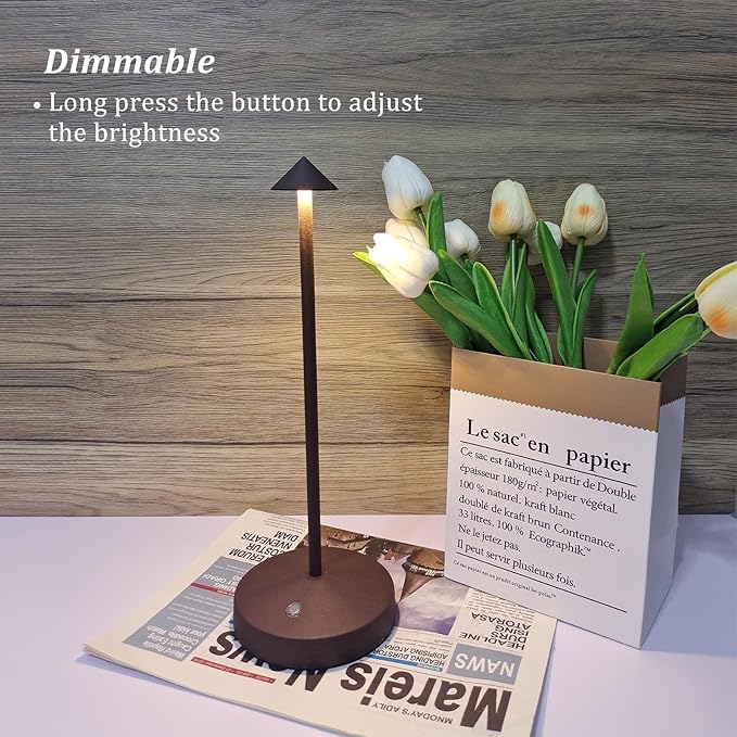 Rechargeable Cordless Table Lamps,Modern Battery Operated Table lamp,Portable LED Touch 2 Levels Brightness Dimmable Bar Lamp,Small Lamp in Aluminum for Bars,Restaurant,Living Room(Rust)