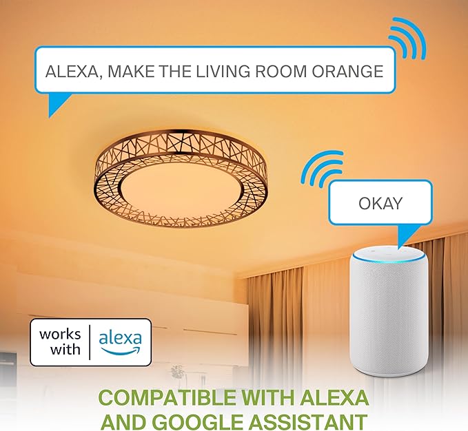 ASD 16 Inch Smart RGBW Flush Mount Ceiling Light with Remote - Matte Black 28W 120V 2700-6500K Dimmable Ceiling Light Fixture, WiFi App Control RGB Lights, Alexa & Google Assistant - ETL, 4 Pack