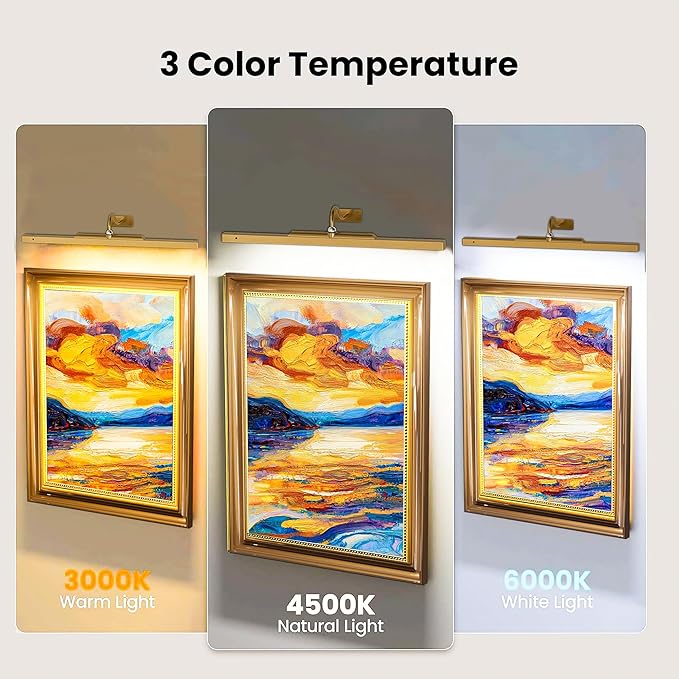 24 Inch Picture Light for Wall - Battery Operated Wireless Wall Sconce with Remote & Timer for Artwork, Portrait, Photo & Frame (Antque Gold)