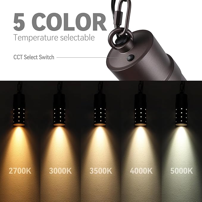 LEONLITE 5CCT Low Voltage Hanging Lights Outdoor, LED Landscape Pendant Lights, ETL Listed, 12V Hanging Tree Light for Gazebo, Pergola, Garden, Aluminum, IP65, Oil Rubbed Bronze, Pack of 4