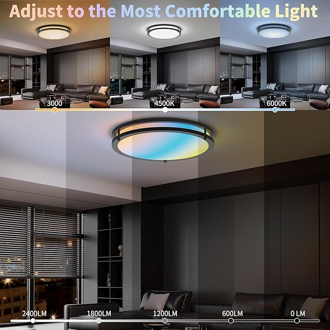 Kalium Ceiling Lights Flush Mount with Remote: LED Black Ceiling Lighting 8 Modes Dimmable Color, Adjustable Temperature for Bedroom, Living Room, Kitchen (16 Inch)