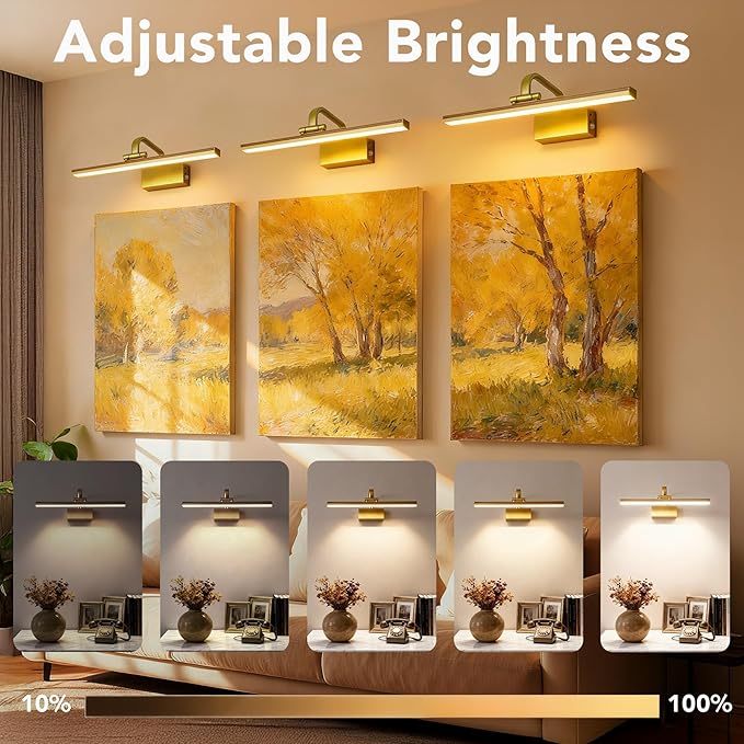 RAIFOOLLY Picture Light, 16inch Cordless Picture Lights for Wall with Timer and Dimmable, Battery Operated Metal Wall Lights for Display Gallery Painting Art Frame Portrait - Gold