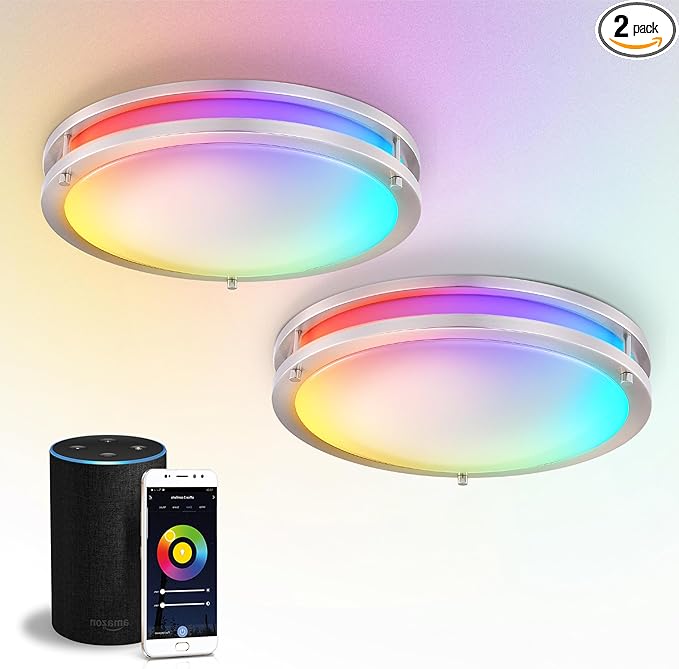ASD LED 16" Round Flush Mount Lighting, Close to Ceiling Light Fixture | Smart, Multicolor, Dimmable, ETL Listed | 24W 1575LM RGB-2700-6500K 120V | Low Profile Double Ring Lamp | Nickel, 2 Pack