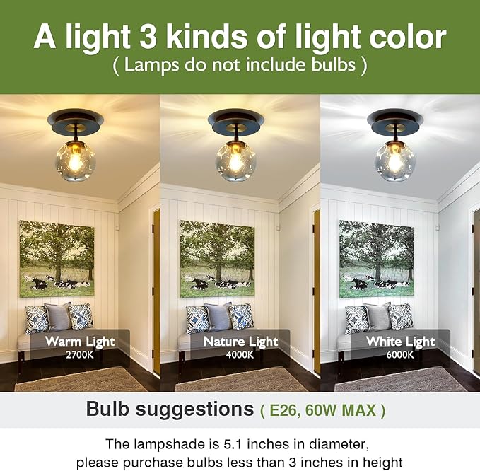 SZXYKEJI 1-Light Mini Glass Globe Ceiling Light,Modern Semi Flush Mount Light Fixture,Black Ceiling Light for Hallway Aisle Porch Stairway Closet.