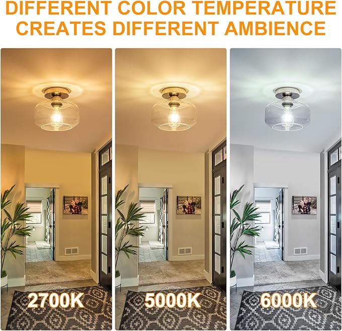 Tbaoinal Semi Flush Mount Ceiling Light Clear Glass Shade Matal Base, Inclede LED Bulb, Low-Profile for Kitchen/Hallway/Entryway/Bathroom, Silver