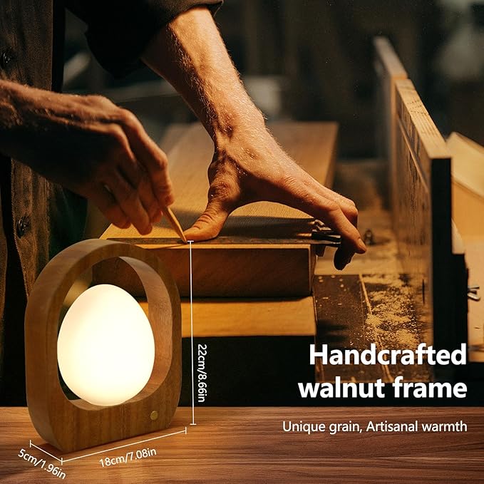 JESLED Cordless Rechargeable Table Lamp, 3 Color Dimmable Small Table Lamp with Glass Shade, Mid-Century Modern Lamp