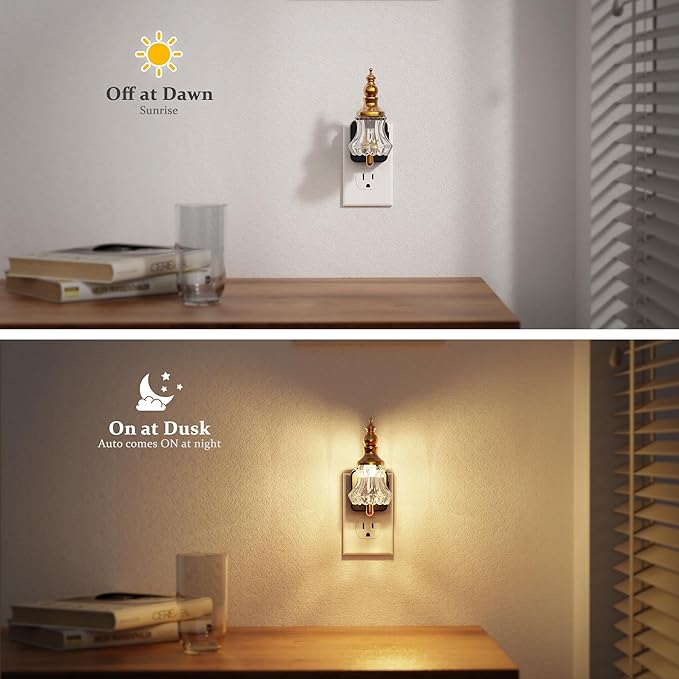 JandCase Night Light, Night Lights Plug into Wall, Glass Flower LED Nightlight, 0-100 LM Dimmable Nightlights, Dusk to Dawn Sensor, 1W Vintage Nite Light for Bathroom Hallway Gift Decor, 1 Pack
