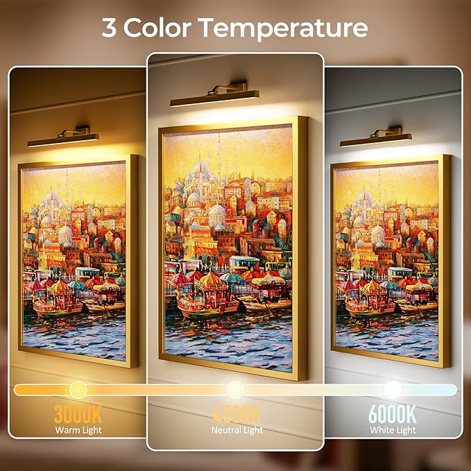 Afyuol Picture Lights for Wall, Battery Operated Picture Light 24in Gallery Light for Paintings CCT Dimmable Recharging Battery Wall Light with Remote Control for Living Room Gallery Dartboard