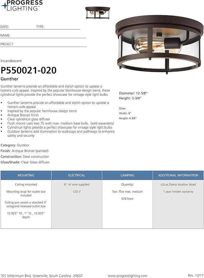 Progress Lighting Gunther Collection 2-Light Clear Glass Farmhouse Outdoor Flush Mount Light Antique Bronze, 5.75x12.63x12.63