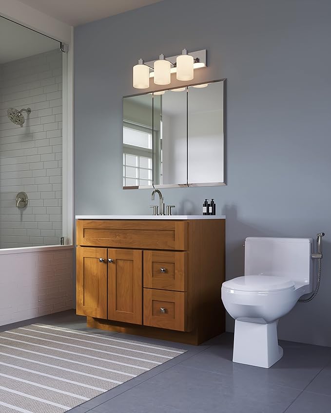Design House Dane 3-Light Vanity Light, Polished Chrome Finish, Frosted Glass Shades, Dimmable, Bathroom Wall Fixture – Design House, 587478