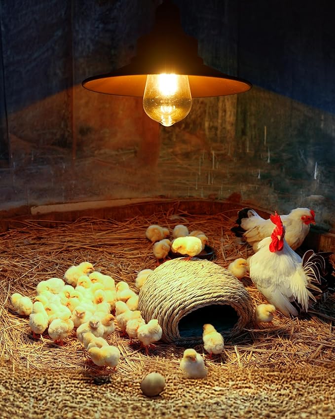 Solar Pendant Light Indoor Outdoor, Solar Shed Light IP65 Waterproof Metal Powered Hanging Chandelier, Gazebo Lights with Pull Cord for Garden, Chicken Coop, Gazebo, Barn
