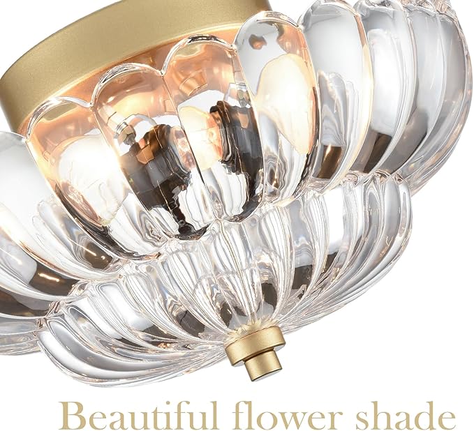 HYDELITE Gold Ceiling Light Fixture Bedroom Semi Flush Mount Ceiling Light Fixtures for Entryway Bathroom Living Room Proch with Scalloped Clear Glass