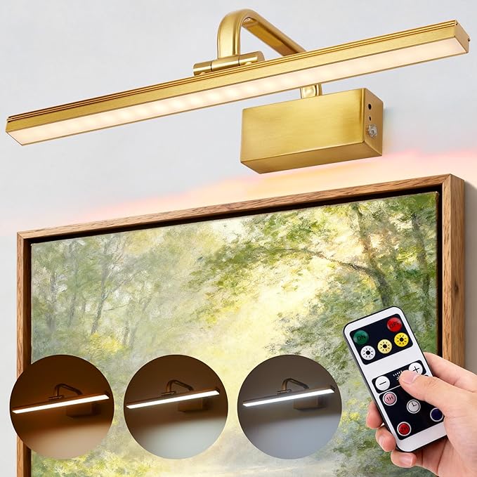 RAIFOOLLY Picture Light, 16inch Picture Lights for Wall Cordless with Timer and Dimmable, 5000mAh Battery Wall Lights for Display Gallery Painting Art Frame Portrait-Brass