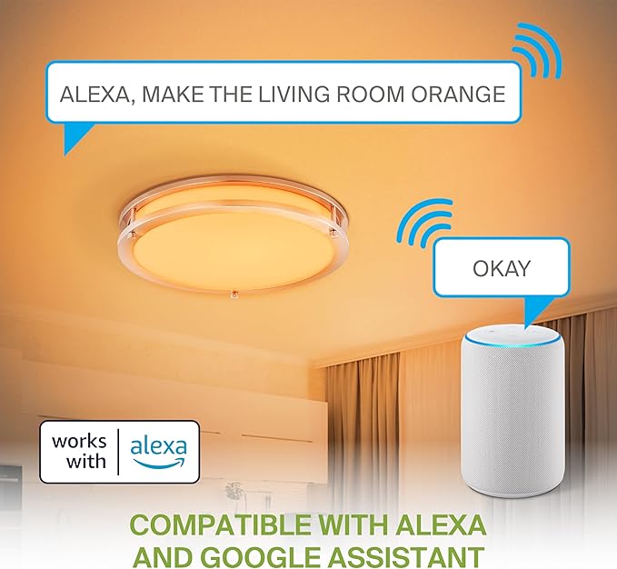 ASD LED 16" Round Flush Mount Lighting, Close to Ceiling Light Fixture | Smart, Multicolor, Dimmable, ETL Listed | 24W 1575LM RGB-2700-6500K 120V | Low Profile Double Ring Lamp | Nickel, 2 Pack