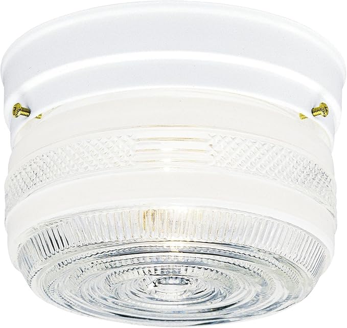 Westinghouse 6620300 Two-Light Ceiling Fixture, Clear,White