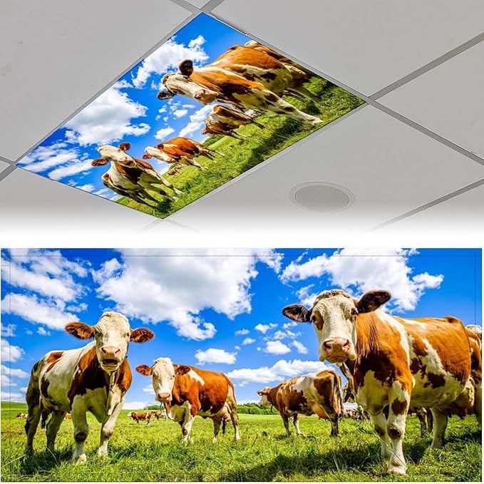 2 Pack Fluorescent Light Covers - Funny Cattle Magnetic Ceiling Light Covers for Classroom & Home Office
