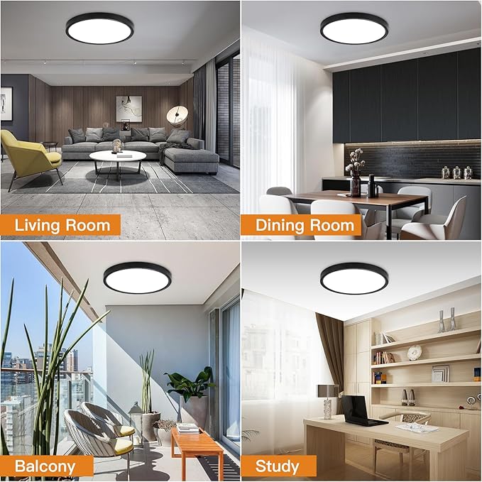 TALOYA Dimmable Flush Mount Ceiling Light,12Inch,20W,5 CCT,LED Ceiling Light Fixture for Bedroom,Kitchen,Living Room,Black