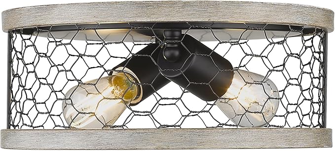 Golden Lighting Bailey 2-Light Flush Mount in Matte Black