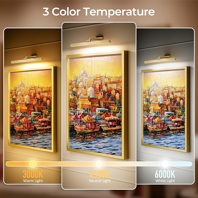 Afyuol Picture Lights for Wall, Brushed Gold Battery Operated Picture Light 24in Art Light CCT Dimmable Recharging Battery Wall Light with Remote Control for Living Room Gallery