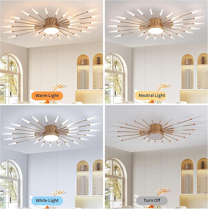 Modern Ceiling Light LED Flush Mount Ceiling Light for Living Room,Kitchen,Bedroom Fireworks Design Dimmable with Remote Control & Memory Function Lighting Fixture (Gold,12 Light)