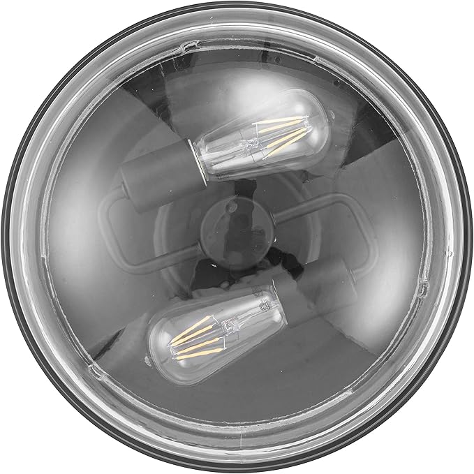 Prominence Home Madalyn 13" Bronze Flush Mount Clear Seeded Round Glass Ceiling Light - 51539-01 (Pack of 2)