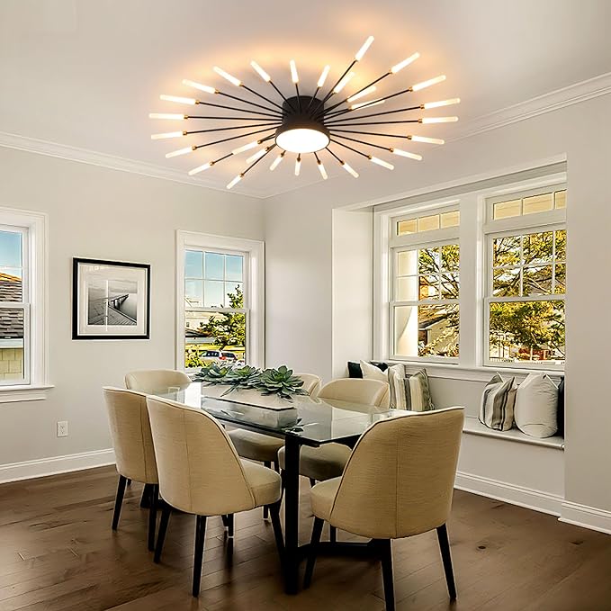 Modern Ceiling Light LED Flush Mount Ceiling Light for Living Room,Kitchen,Dining Room,Bedroom Fireworks Design Dimmable with Remote Control & Memory Function Lighting Fixture (Black,28 Light)