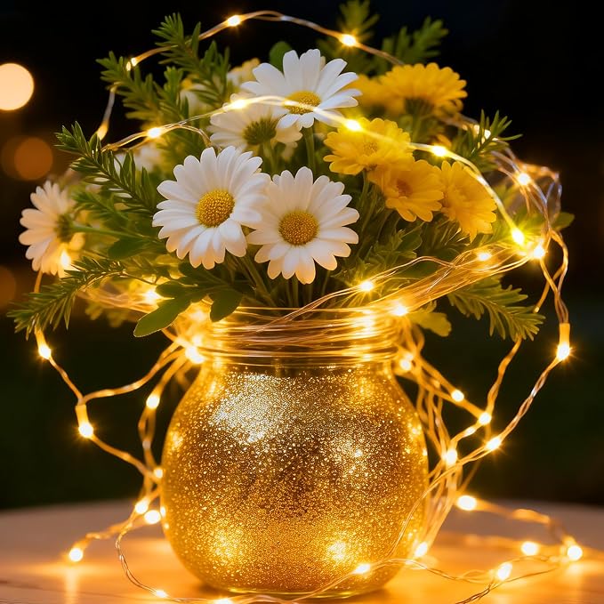 1 Pack USB Plug in Fairy String Lights,16ft 50 LED Copper with Remote and Timer, 8 Modes Waterproof Twinkle String Lights for Bedroom Indoor Party Wedding Christmas Decoration