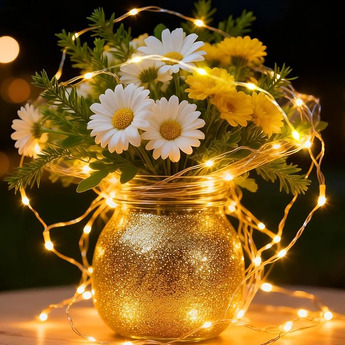 2Pack USB Plug in Fairy String Lights,16ft 50 LED Copper with Remote and Timer, 8 Modes Waterproof Twinkle String Lights Battery Powered for Bedroom Indoor Party Wedding Christmas Decoration