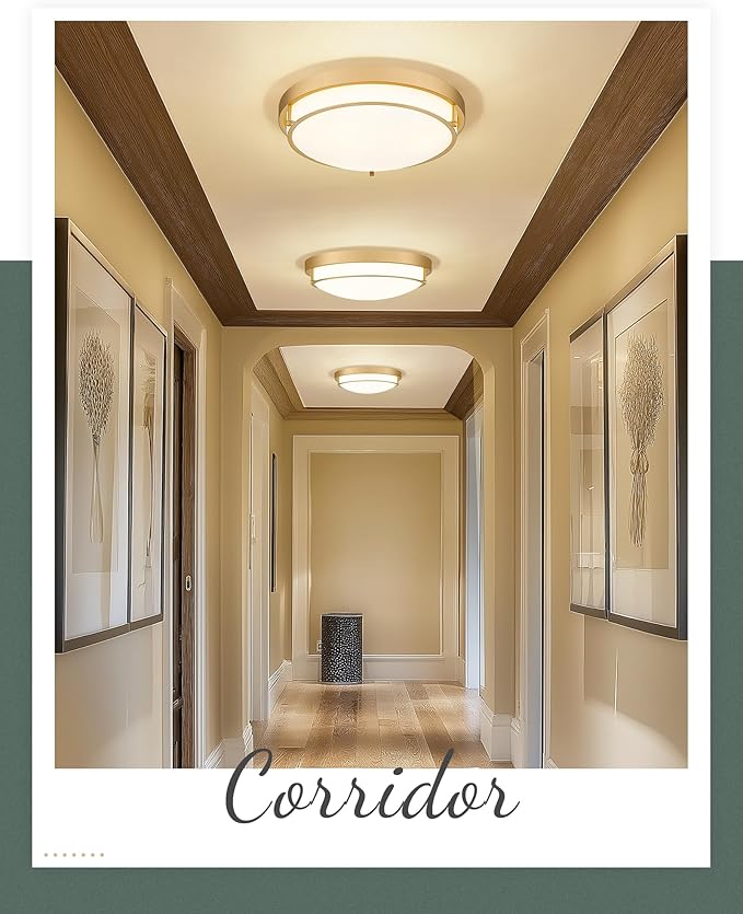 16" Flush Mount Ceiling Light, Farmhouse Style, Frosted Glass Shade,Brass Gold, for Living Room, Bedroom, Dining – CKCL4822-3W-BB