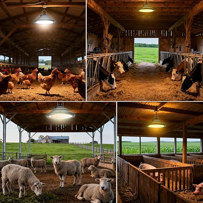 Solar Chicken Coop Light with Timer | Three-Color Dimmable LED, IP66 Waterproof Hanging Ceiling Pendant Light Suitable for Poultry Farms,Coops,Patio,Camping,Garage etc