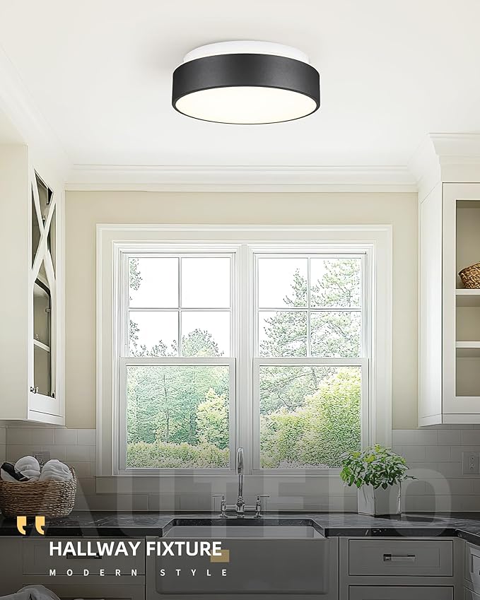 AUTELO Flush Mount Ceiling Light-Black Ceiling Light Fixture - 12Inch LED Close to Celing Lights with Frosted Glass Shade C3312 BK LED