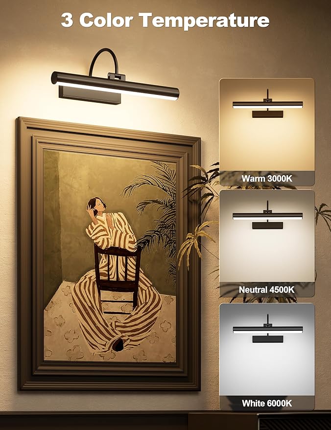 Bridika Picture Light for Wall with Remote, Rechargeable Battery Operated Picture Light, 3 Color Modes and Dimmable Classic Art Lights for Paintings, Gallery, Bedroom, Bathroom with Timer Black 1