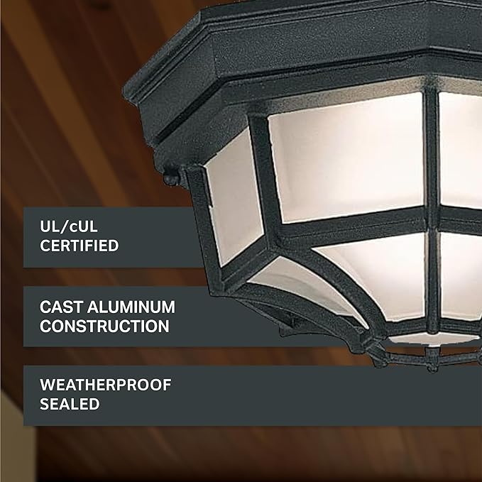 Designers Fountain 2067-BK Builder Cast Outdoor Flush Mount Ceiling Light, 10.5 in W, Black