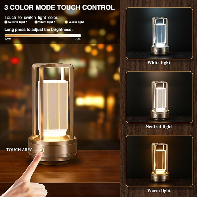 Anxingtools Portable Metal Table Lamp, Cordless Table Lamp, Rechargeable Battery Powered Portable LED Desk Lamp, 3 Color Stepless Dimming Touch, for Bedroom Restaurant Home Outdoor (2 Set of Silver)