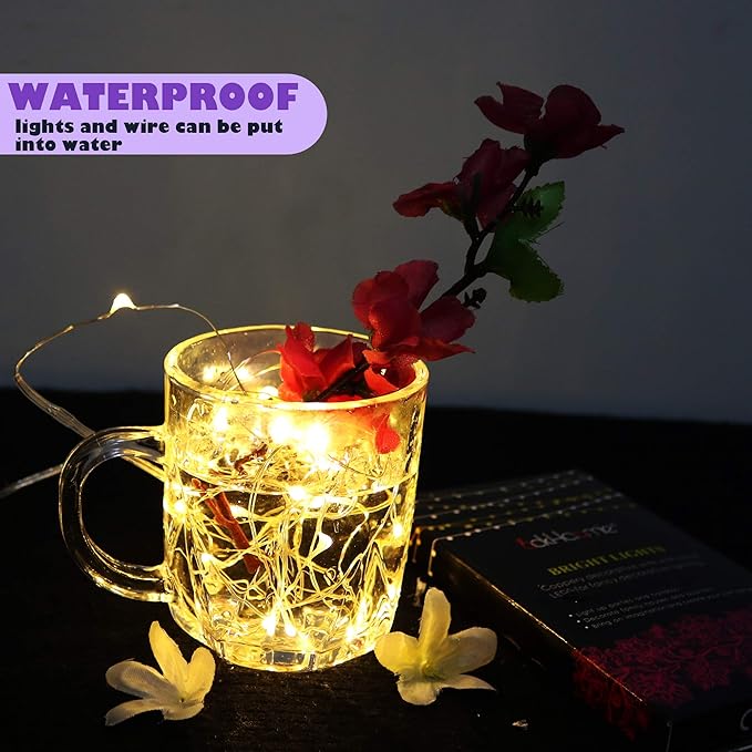6 Pack Fairy Lights Battery Operated with Timer 2PCS Remote - 6.5ft 20LED Warm White Twinkle Lights Waterproof Silver Wire Fireflies Lights DIY Mason Jar Wedding Party Christmas Centerpiece Table Deco