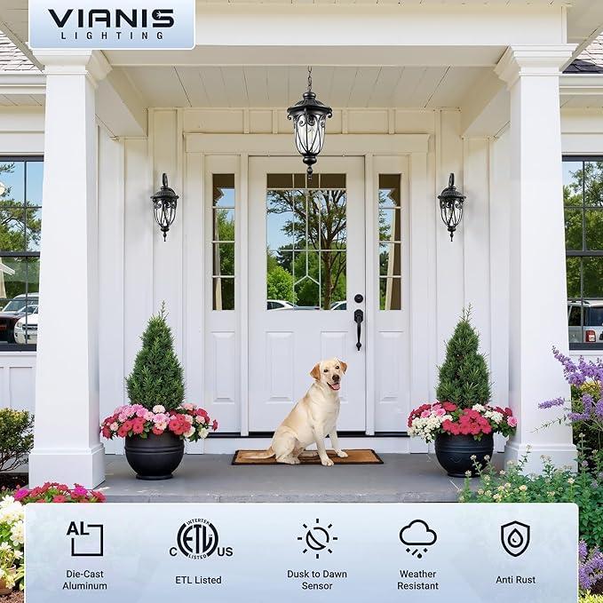 VIANIS Large Dusk to Dawn Outdoor Hanging Lights, Black Vintage Outdoor Pendant Light with Seed Glass, Waterproof, Anti-Rust Adjustable Length Chandelier, Hanging Ceiling Light for Porch, Garden, Yard