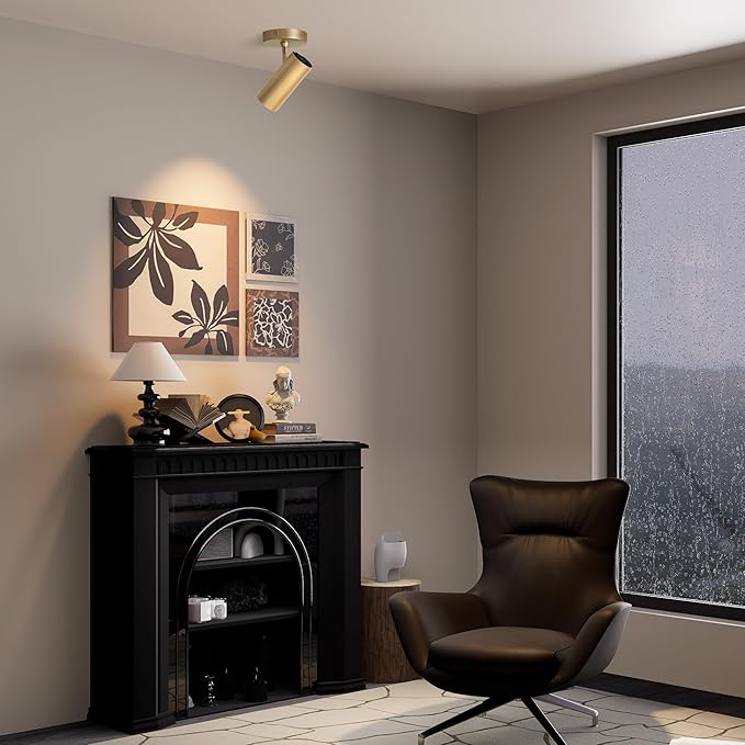 Aisilan 12W LED Gold Directional Ceiling Spot Lights Indoor - Adjustable 90°Spotlight Lighting, Anti-Glare, Warm Light, CRI 97, Flicker-Free - Ideal for Picture Painting and Living Room Accent Light