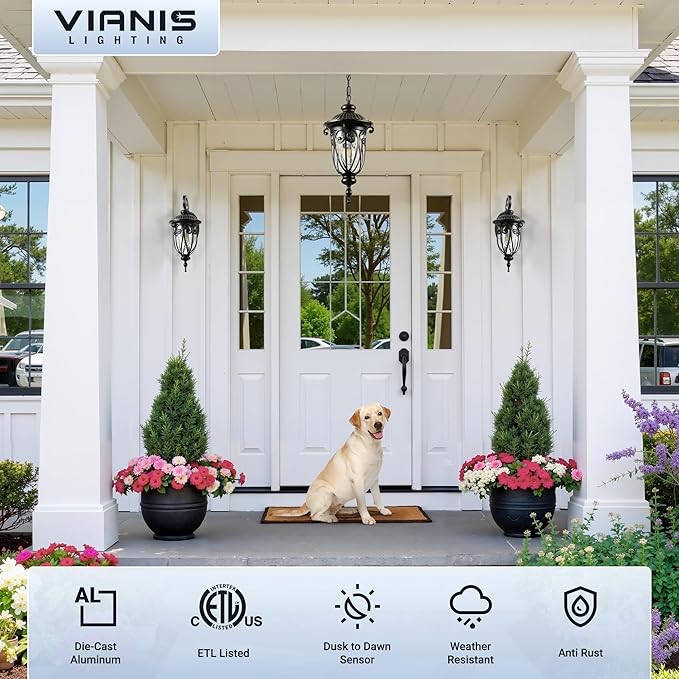 VIANIS Dusk to Dawn Outdoor Hanging Lights, Large Bronze Vintage Outdoor Pendant Light, Waterproof with Seed Glass, Anti-Rust Adjustable Length Chandelier, Porch Ceiling Light for Yard, Doorway