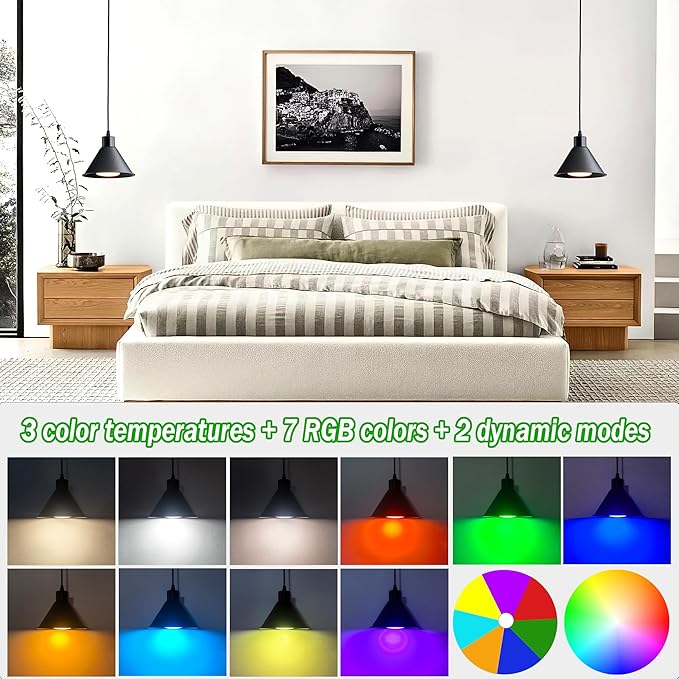 Battery Operated Pendant Light Set of 2, RGB Color Changing Rechargeable Hanging Light with Remote Up to 50 Hours Use, Vintage Pendant Light No Wiring for Bedroom Living Room(Black)
