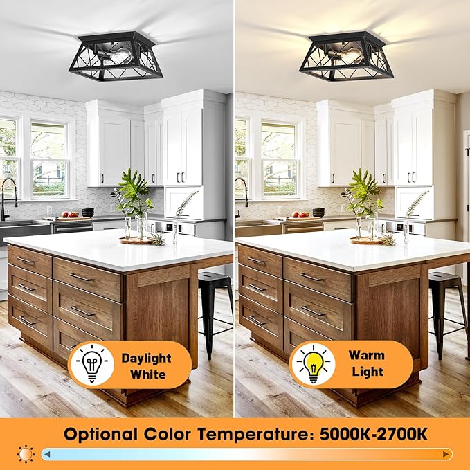 FadimiKoo 2-Light Black Flush Mount Ceiling Light Fixture, Industrial Hallway Light Fixtures Ceiling Mount for Farmhouse Kitchen, Square Cage Ceiling Lamp for Dining Room, Living Room, Entryway