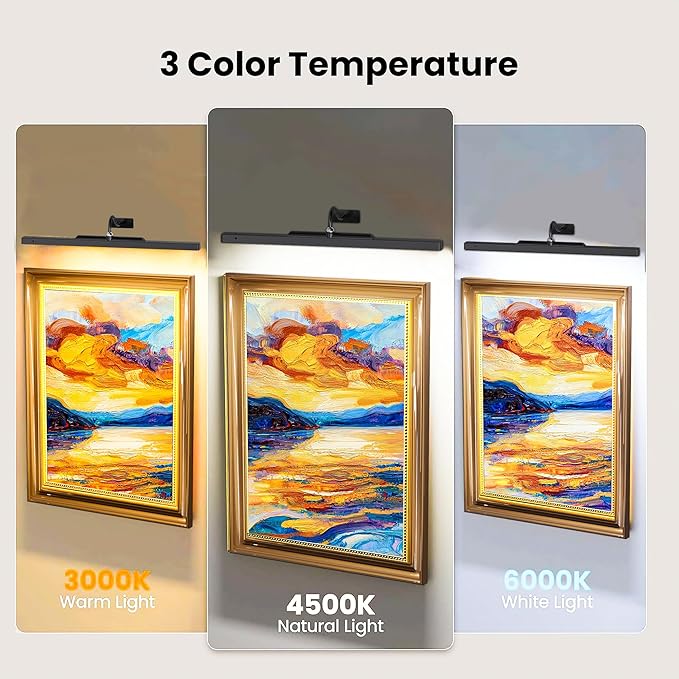 24 Inch Picture Light - Black 6000mAh Battery Operated Wireless Wall Sconce with Remote & Timer for Paintings, Gallery, Mirror & Artwork