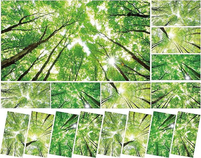 8 Pcs Fluorescent Light Covers with 80 Magnets Decorative for Classroom Ceiling Light 4 x 2 Feet Magnetic Light Covers Filter Easy Install for Office Hospitals & Home Drop Ceiling Supplies (Forest)