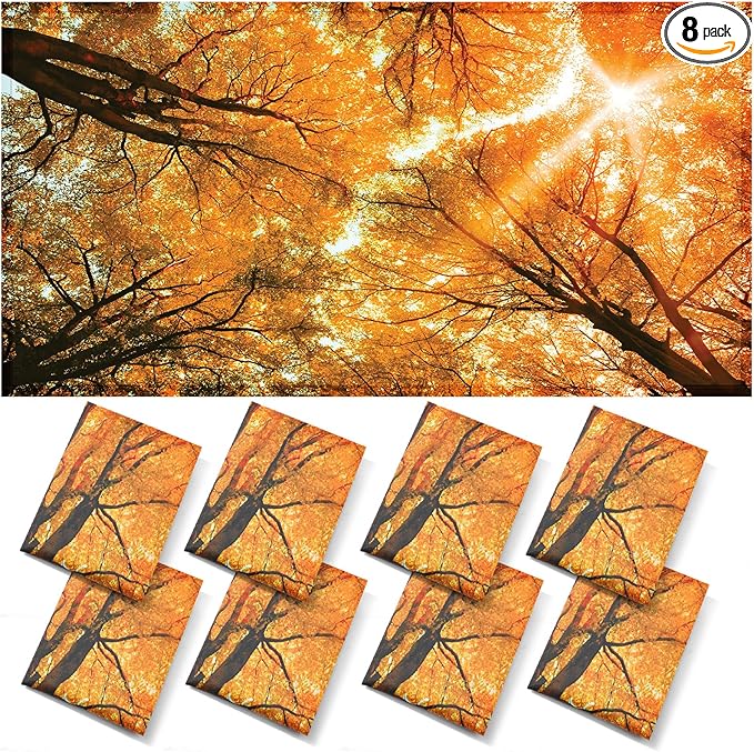 ANGSYLTH 8 Pcs Fluorescent Light Covers - 4 x 2 Feet Covers for Ceiling Lights, 8 x 10 Magnetic Light Filters for Classroom, Office, Hospitals