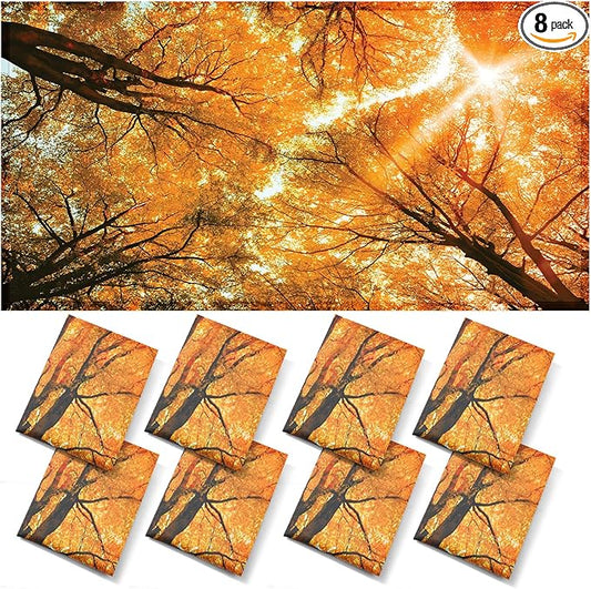 ANGSYLTH 8 Pcs Fluorescent Light Covers - 4 x 2 Feet Covers for Ceiling Lights, 8 x 10 Magnetic Light Filters for Classroom, Office, Hospitals
