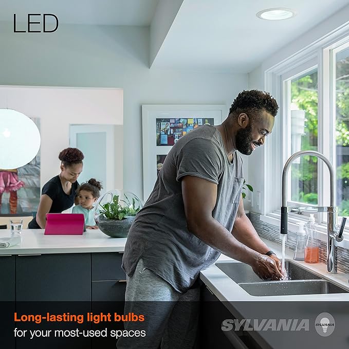 LEDVANCE Flood BR30 LED Light Bulb, 65W = 9W, Dimmable, 22 Year, 800 Lumens, 5000K, Daylight - 1 Pack (40461)
